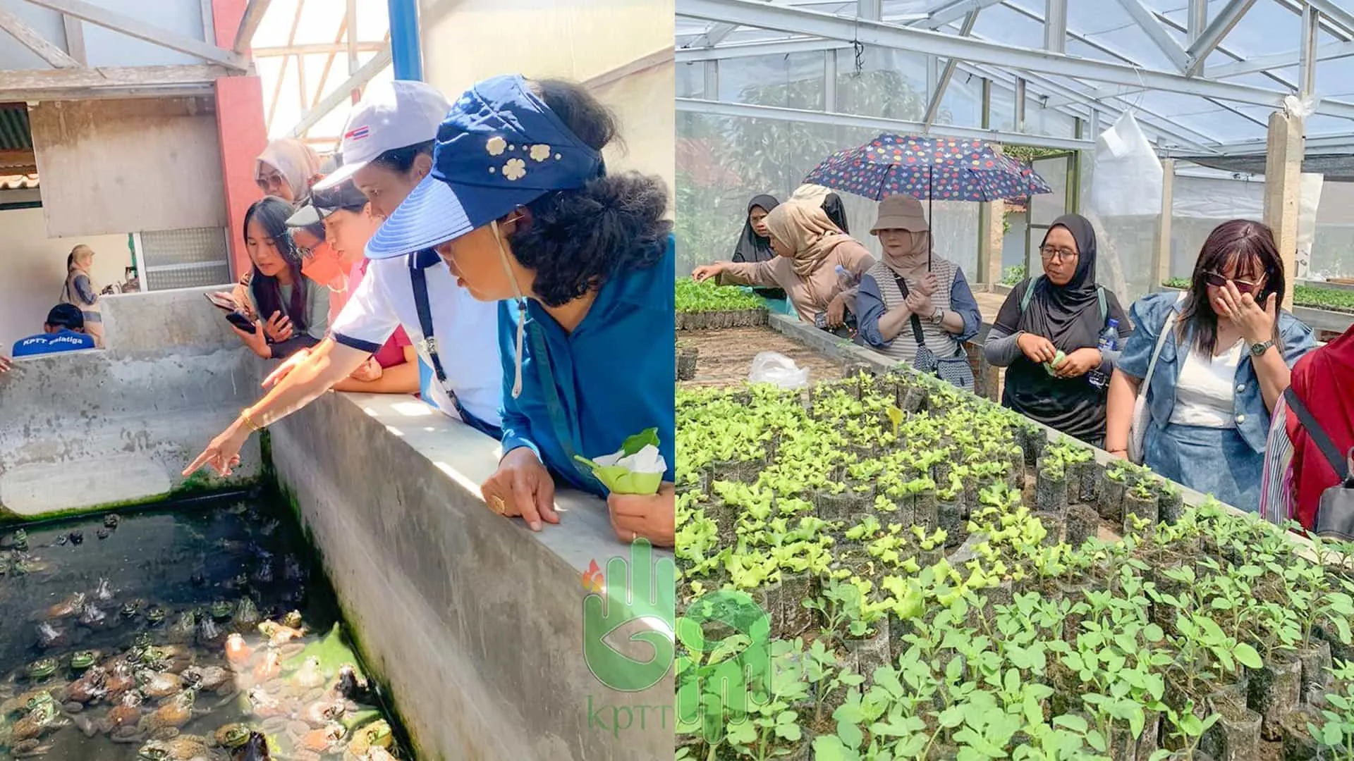 field-trip-ibu-ibu-pkk-rw-01-kelurahan-pudakpayung-di-kptt-salatiga