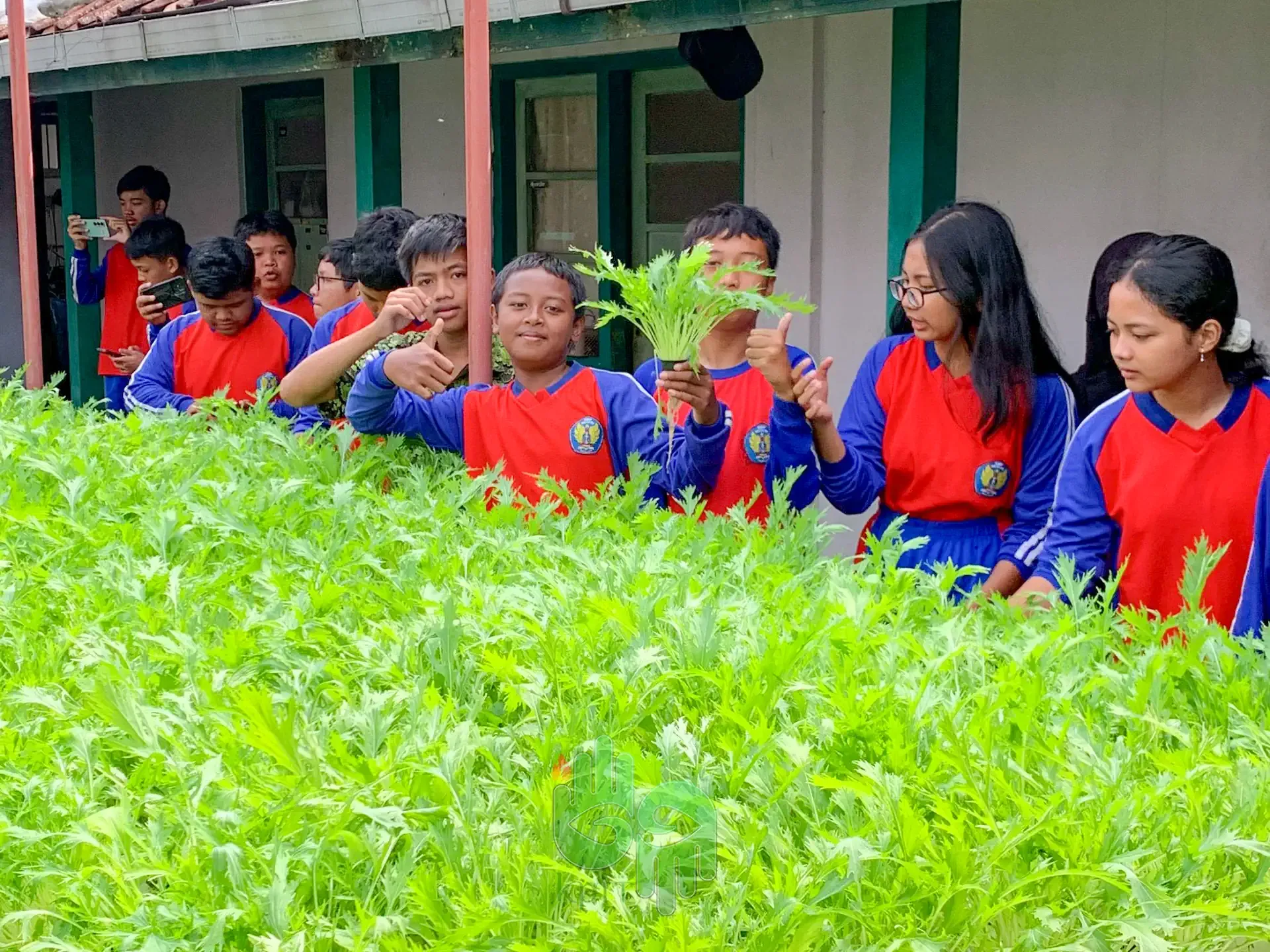 fieldtrip-466-siswa-smp-negeri-5-salatiga-mengenal-dunia-pertanian